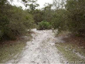 Beacon Light Rd., Edgewater, FL 32141