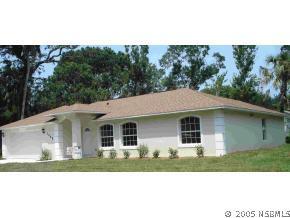 3045 Mango Tree Dr., Edgewater, FL 32141