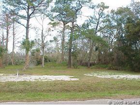 Pearl St., New Smyrna Beach, FL 32168