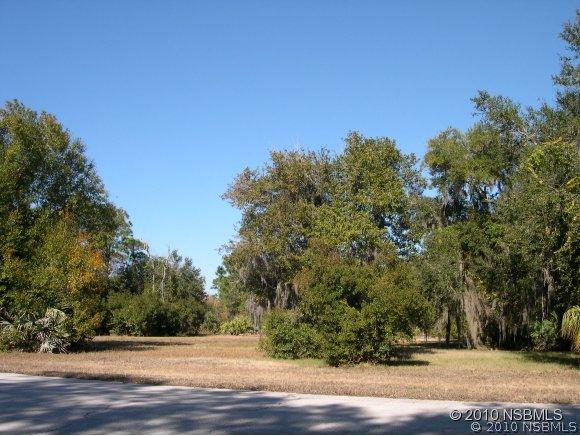 1009 Flying M Ct., Edgewater, FL 32132