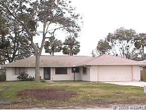 1724 Travelers Palm Dr., Edgewater, FL 32132