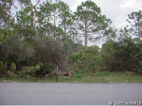 1745 Tatum Blvd., New Smyrna Beach, FL 32168