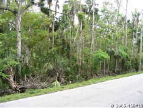 Elizabeth St., New Smyrna Beach, FL 32168