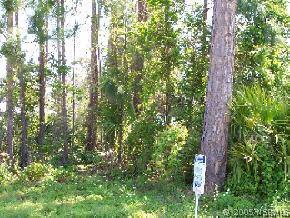 Date Palm Dr., Edgewater, FL 32141