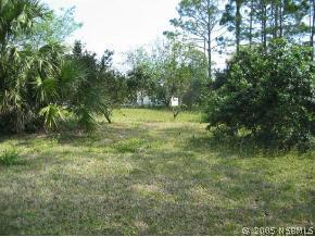 2403 Vista Palm Dr., Edgewater, FL 32141