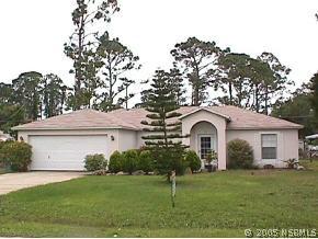 1517 Victory Palm Dr., Edgewater, FL 32132