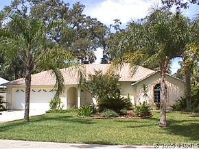 3117 Needle Palm Dr., Edgewater, FL 32141