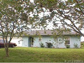 2817 Yule Tree Dr., Edgewater, FL 32132