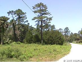 James St., New Smyrna Beach, FL 32168