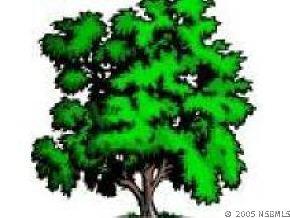 Sr 415, New Smyrna Beach, FL 32168