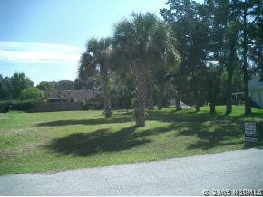 1623 Umbrella Tree Dr., Edgewater, FL 32132