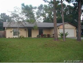 2612 Umbrella Tree Dr., Edgewater, FL 32141