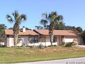 3119 Orange Tree Dr., Edgewater, FL 32141