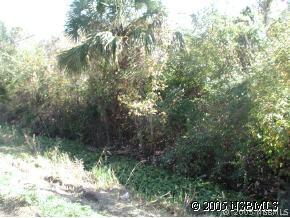 Halifax Ave., Oak Hill, FL 32759