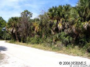 Ruth Dr., Edgewater, FL 32132