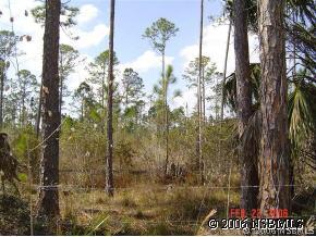 Samsula Dr., New Smyrna Beach, FL 32168