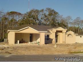 503 Nature Creek Ln., New Smyrna Beach, FL 32168