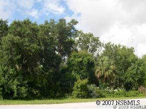 1008 Flying M Ct., Edgewater, FL 32132
