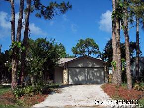 2717 Sabal Palm Dr., Edgewater, FL 32132