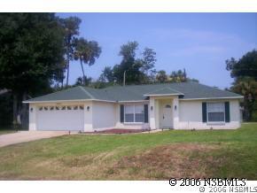 2943 Needle Palm Dr., Edgewater, FL 32141