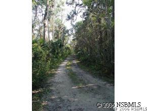 3270 Tickle Ter., Edgewater, FL 32132