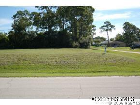 3043 Victory Palm Dr., Edgewater, FL 32141