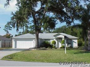 2404 Umbrella Tree Dr., Edgewater, FL 32141