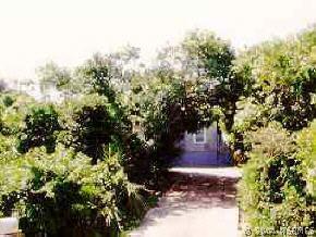 207 Dune Cir., New Smyrna Beach, FL 32169