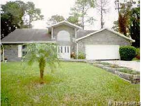 2933 Travelers Palm Dr., Edgewater, FL 32132