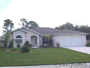 3007 Sabal Palm Dr., Edgewater, FL 32141