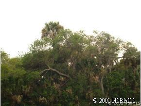 0 No St., New Smyrna Beach, FL 32168