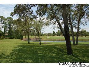 214 Canterbury Cir., New Smyrna Beach, FL 32168