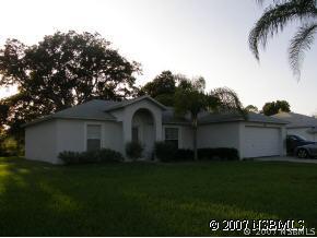 3110 Travelers Palm Dr., Edgewater, FL 32141