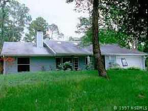 1523 Umbrella Tree Dr., Edgewater, FL 32132