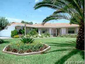 2425 Travelers Palm Dr., Edgewater, FL 32141