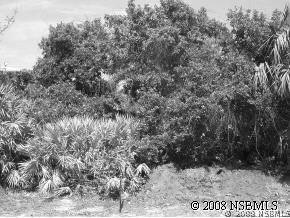 2005 Dune Cir., New Smyrna Beach, FL 32169