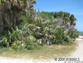 Hill St., New Smyrna Beach, FL 32169