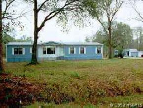 193 Cucumber Ln., New Smyrna Beach, FL 32168