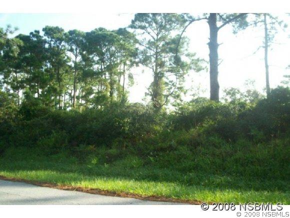 2717 Guava Dr., Edgewater, FL 32141