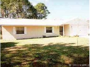 1508 Travelers Palm Dr., Edgewater, FL 32132