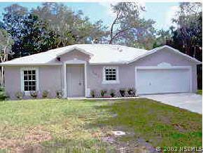 3223 Needle Palm Dr., Edgewater, FL 32132