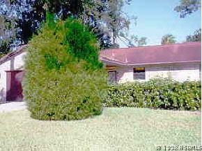 1103 Regent St., Edgewater, FL 32132