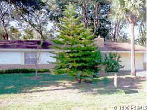 1924 Kumquat Dr., Edgewater, FL 32132