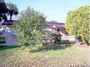 1816 Date Palm Dr., Edgewater, FL 32132