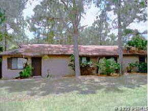 2202 India Palm Dr., Edgewater, FL 32141