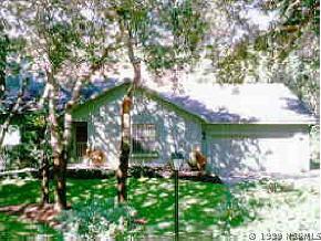 4384 Sea Mist Dr., New Smyrna Beach, FL 32169