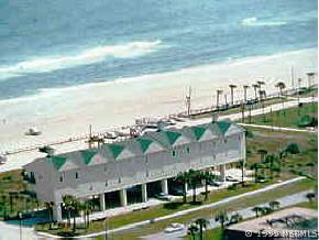 6612 S Turtlemound Rd. #204, New Smyrna Beach, FL 32169
