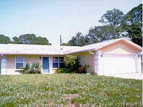 2753 Fern Palm Dr., Edgewater, FL 32132