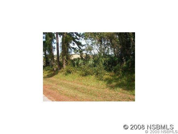 Guava Dr., Edgewater, FL 32141