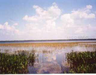 Canoe Creek Rd., St Cloud, FL 34772